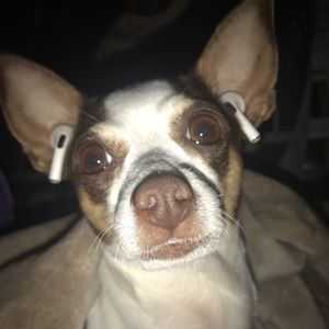 Meet your Posher, Aj